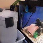 как должен работать фильтр в аквариуме видео