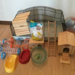 How to properly arrange a hamster cage, accessories and home decoration for Djungarian and Syrian pets
